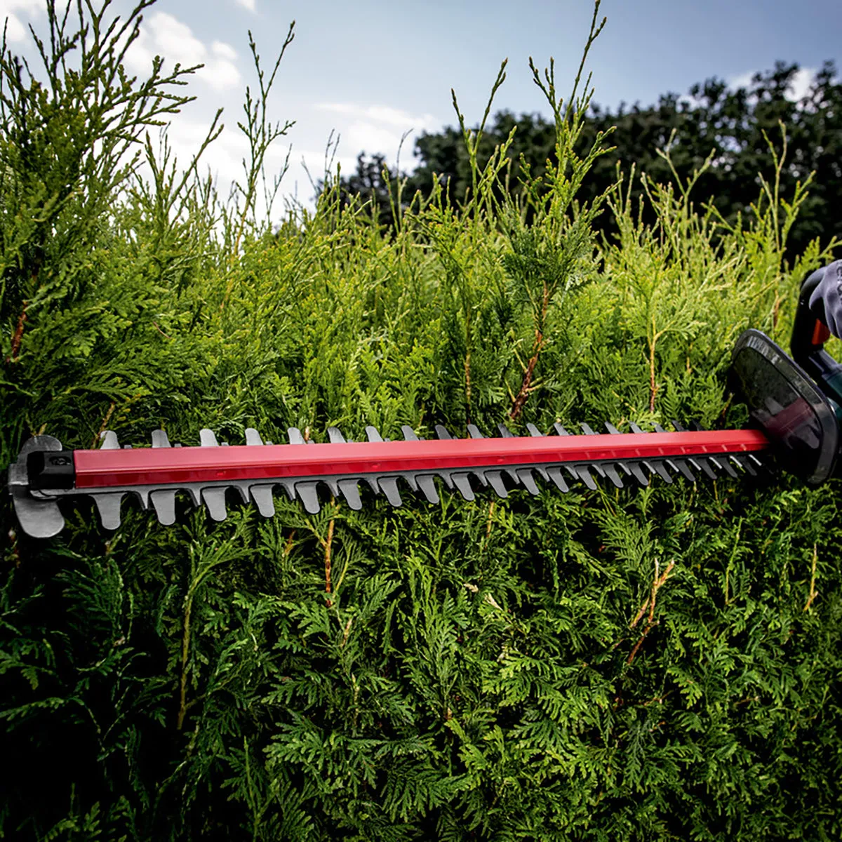 Metabo HS 18 LTX 55 18V 55cm Hedge Trimmer Body Only 601718850