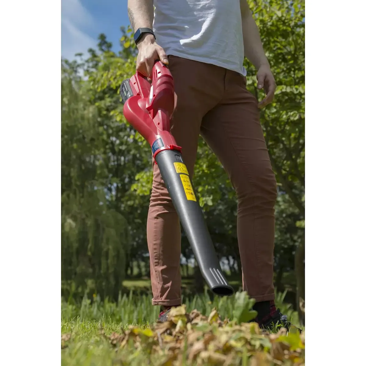 Sealey CB20VCOMBO2 Leaf Blower Cordless 20V with 1 x 2Ah Battery & Charger
