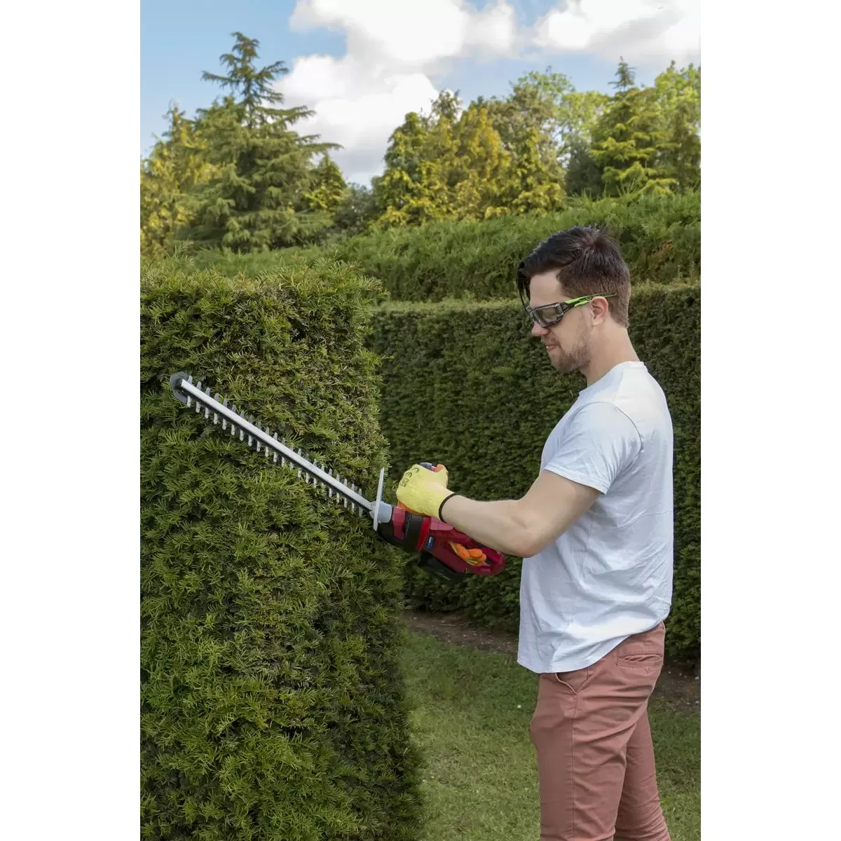 Sealey CHT20VCOMBO2 Hedge Trimmer Cordless 20V with 2Ah Battery & Charger